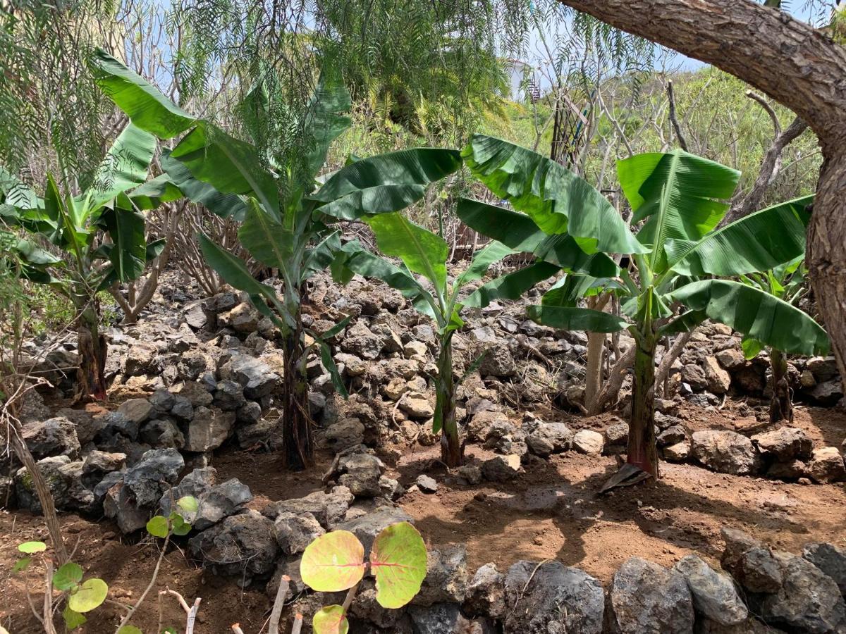 Bella Vista - Finca Tabaiba Icod De Los Vinos Ngoại thất bức ảnh